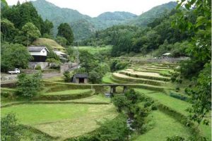 The real life colourful tapestry of ecological sustainability and conservation