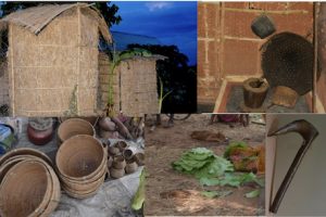 Scribbles on agro-biodiversity, culture and sustainability