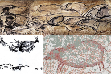 The evolution of human-animal interface