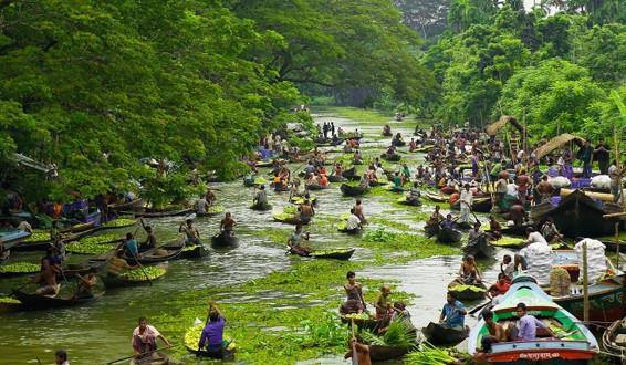 Floating Guavas of Bhimruli