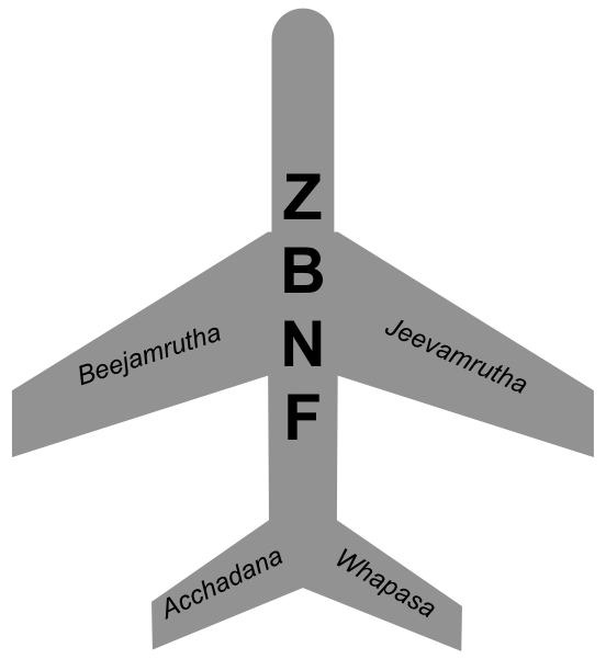 Four pillars of ZNBF_CEiBa